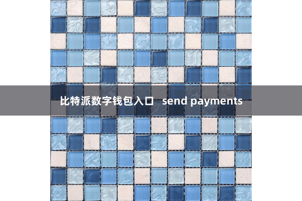 比特派数字钱包入口 send payments