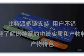 比特派多链支持  用户不错快速了解比特派的功绩实质和产物特色