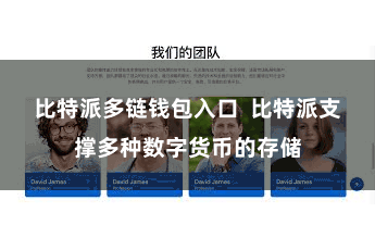 比特派多链钱包入口  比特派支撑多种数字货币的存储